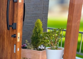 4年越しのクリスマスツリー。