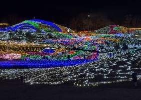頬を撫でる冷たい風が爽やかに