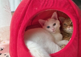 新しく入社しました、広報 平尾です😊