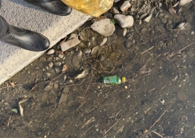 春の見遊祭の前に毎月恒例の金倉川清掃